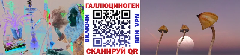 Купить где  Топки  Галлюциногенные грибы Psilocybe 